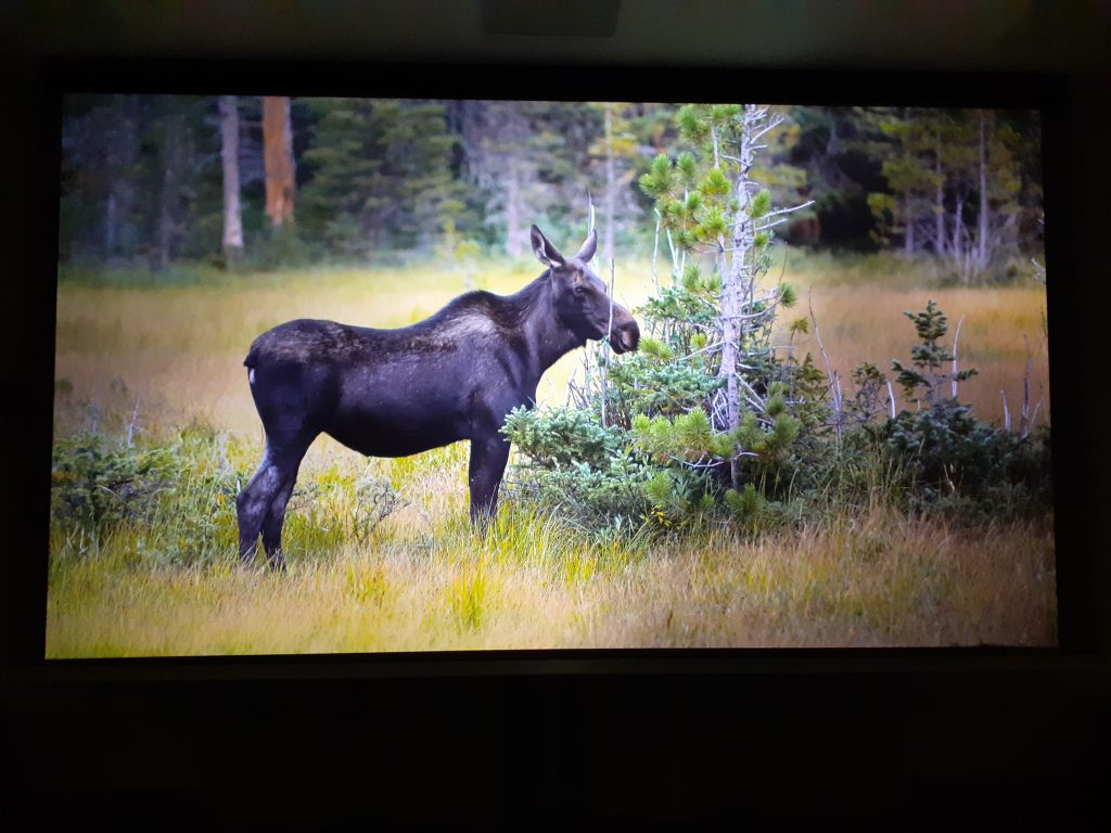 Calibrage Sony VPL-XW5000ES