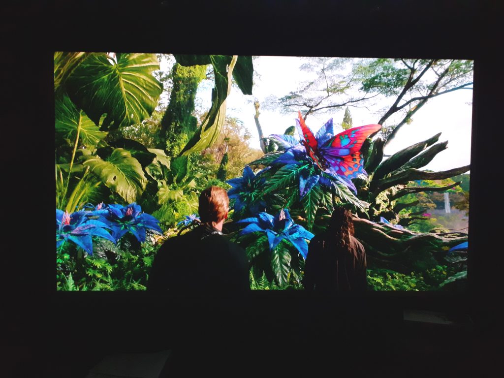 Calibrage JVC DLA-N5