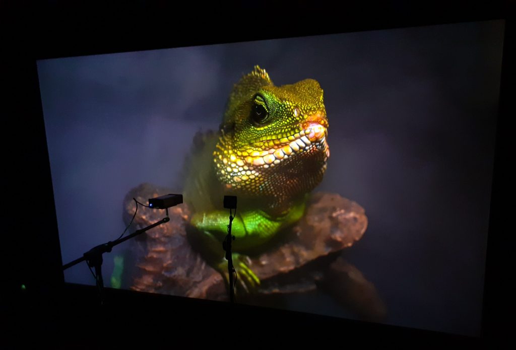 Calibrage Sony VPL-XW5000ES