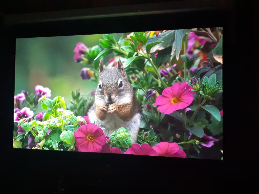 Calibrage Sony VPL-XW5000ES