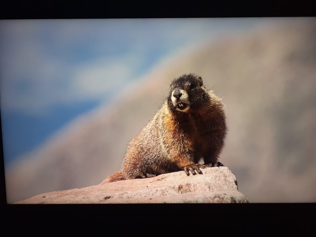 Calibrage Hisense 100U7KQ