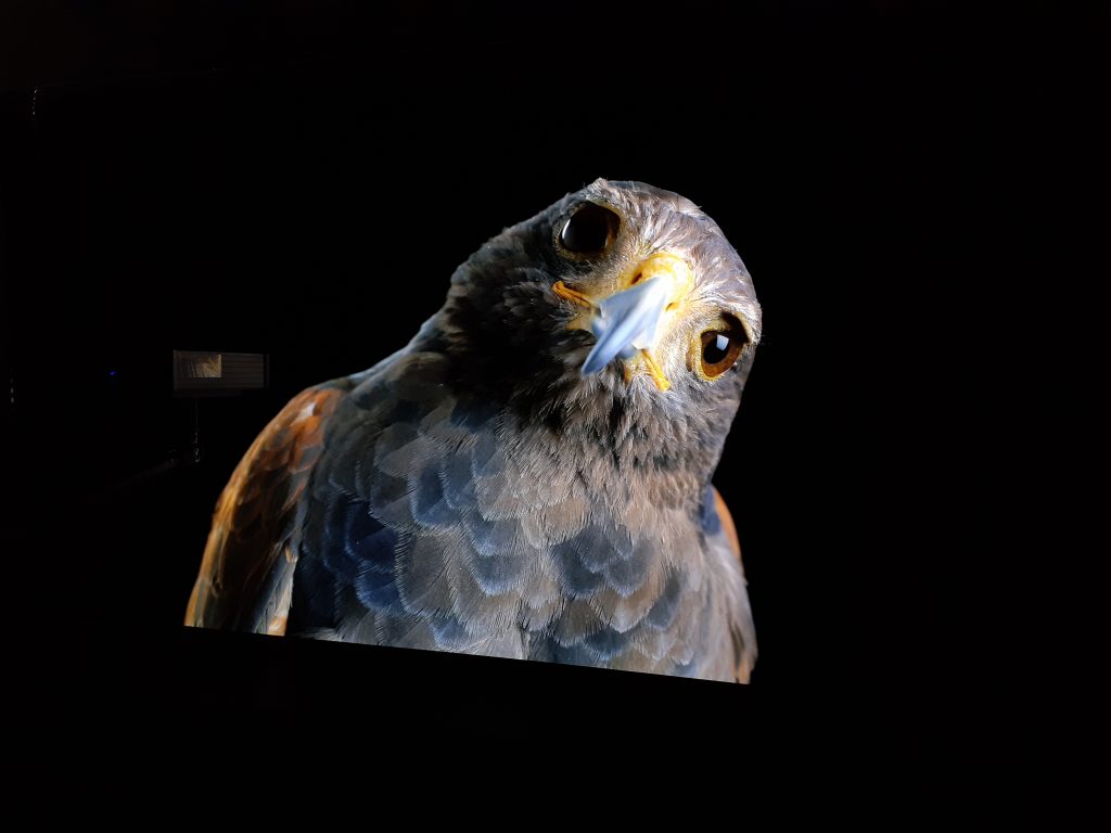 Calibrage LG OLED 83G4