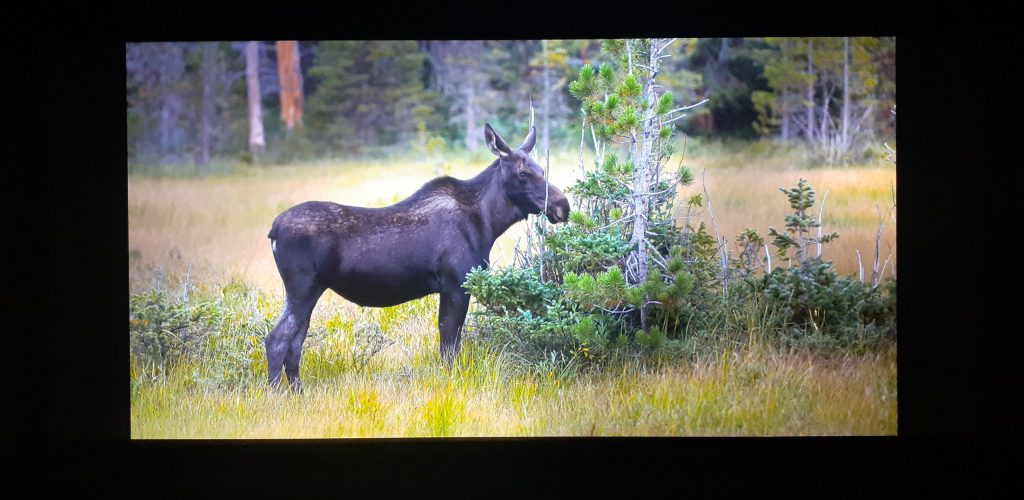 Calibrage Sony VPL-XW7000ES