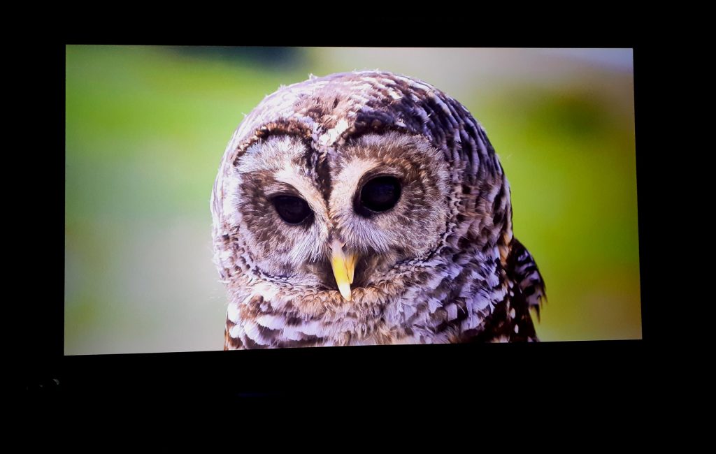 Calibrage Sony VPL-VW290ES