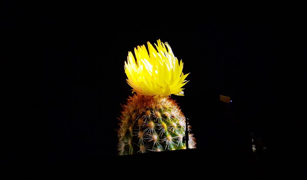 Calibrage Epson EH-QB1000